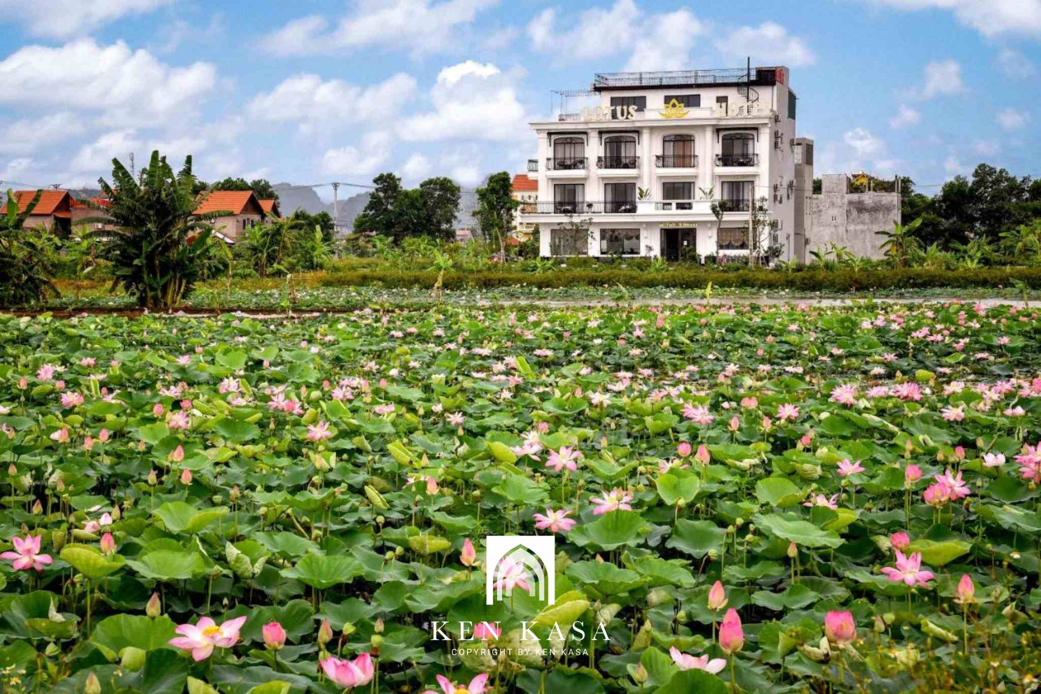 Tổng quan khách sạn  Lotus Ninh Bình Hotel 